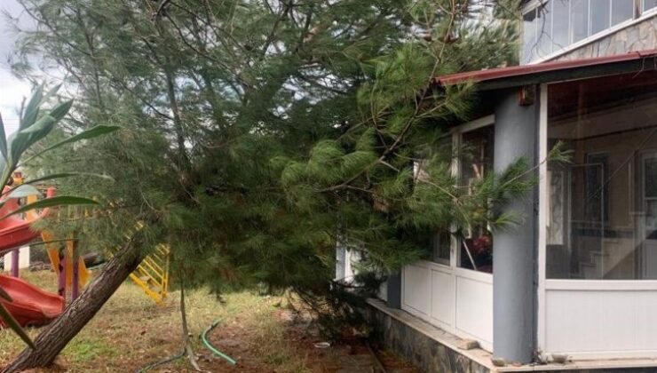 Edirne Keşan’da fırtına hasarı! Ağaç evin üzerine devrildi!